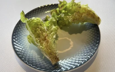 HimmerRiget – Semifinalerunden