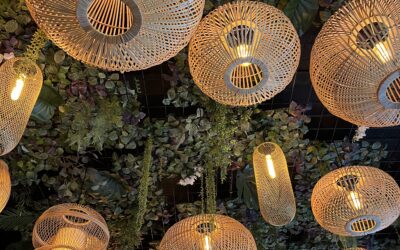 Restaurant Nam – Asiatisk smags-eksplosion i hjertet af Aalborg